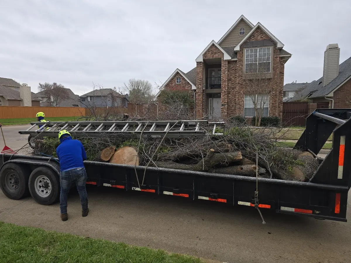 Expert Lot Clearing with proper safety equipment in Hackberry